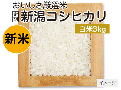 登録　新潟コシヒカリ白米　3KG写真