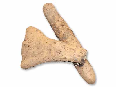 予約9／15週　ねばトロ大和いも　350G写真