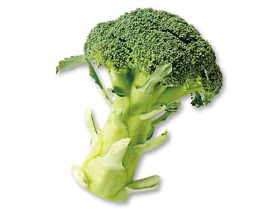 【定期ボックス限定】ブロッコリー　1コ写真