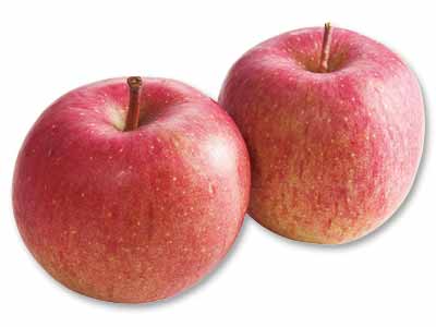 登録　ふじ（りんご）　550G写真