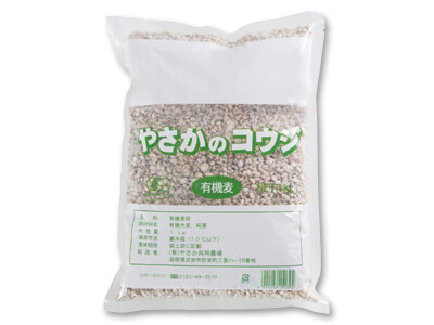 予約1／19週　やさかの麦こうじ（有機・生）1KG写真