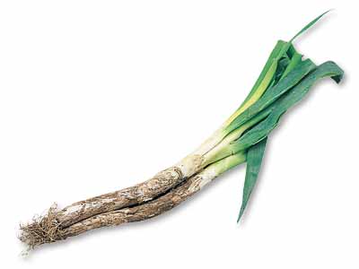 【定期ボックス限定】あまトロ深谷ねぎ　300G写真