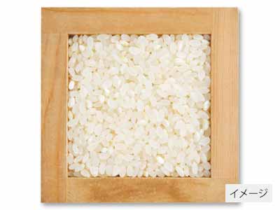 登録　宮城ササニシキ胚芽米　3KG写真