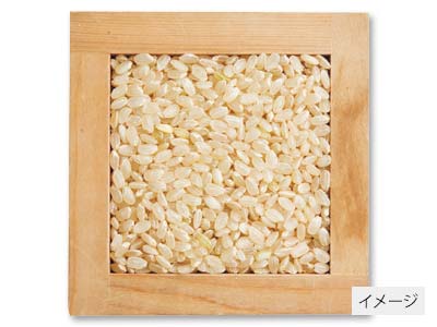 登録　宮城ササニシキ玄米　3KG写真