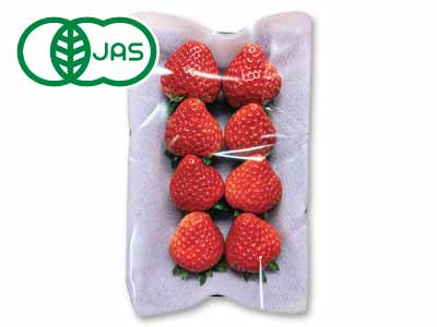 予約2／23週　ふしちゃんの有機すっぴんいちご　200G写真