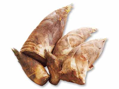 予約　直送・水車むら農園のたけのこ　4KG写真