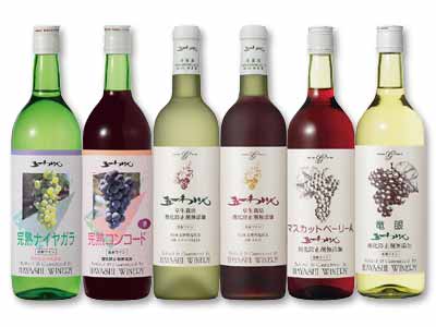 予約4／27週　箱売・五一わいんの無添加ワイン6本セット写真