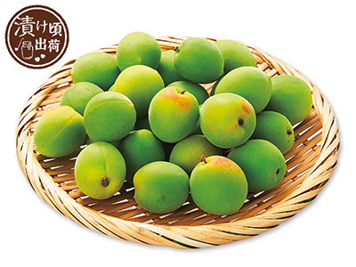 予約　森そだち香り青梅（梅酒・ジュース用）　500G写真