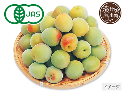 予約　森そだち香り有機南高梅（梅干用）　1KG写真