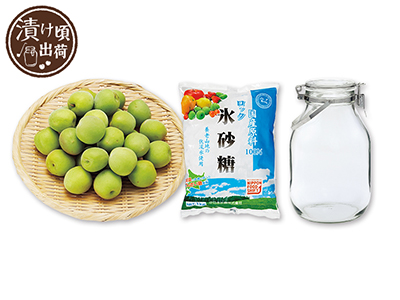 予約　簡単　梅ジュース手作りセット（びん付）写真