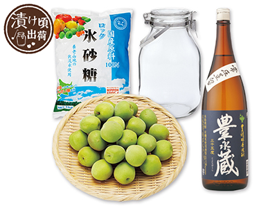 予約　簡単　梅酒手作りセット（びん付）写真