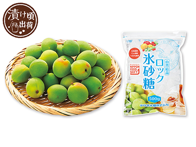 予約　【お試し200ポイント付き】簡単　梅ジュース手作りセット　500G写真