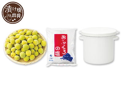 予約　簡単　梅干し手作りセット（容器付）写真