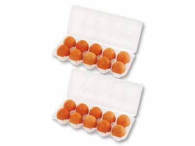 【お得】大地を守る会の平飼卵　10コ×2写真