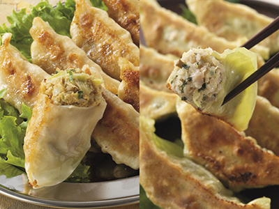 頒布会キャンセル分販売　餃子　スパイシーカレー餃子他写真