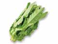 香る炒め野菜・油麦菜　150G