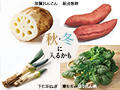 畑まるごと野菜セット・5選_4
