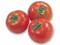 水切り栽培のうま夏トマト　400G