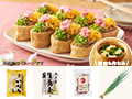 レシピ付き食材セット・三色で彩る　春のそば稲荷＋副菜