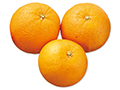 バレンシアオレンジ（柑橘）　500G