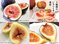 予約　とろける甘さ　直送・3種のいちじく食べ比べ　500G