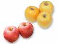 ジョナゴールド（りんご）・450G（2コ）＆原さんの黄色いりんご（シナノゴールド）・800G