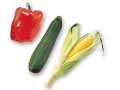 3種の夏野菜食べきりセット（とうもろこし・ズッキーニ・パプリカ）
