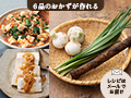 腸おいしい　3種の野菜セット（白玉ねぎ・ごぼう・ニラ）