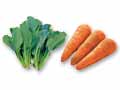 あんかけ具材にもぴったり 小松菜&人参のセット