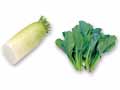 ほっとする味を手軽に　大根1／2＆小松菜のセット