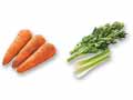 香りと彩りを楽しむ　人参＆三河のグリーンセロリのセット