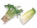 ふんわり香り立つ　せり＆大根1／2のセット