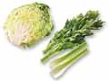 三河の風土が育んだ味わいを楽しむ　グリーンセロリ＆キャベツ1／2のセット