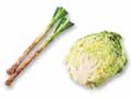 火を通して甘みが引き立つ　長ねぎ＆キャベツ1／2のセット