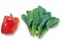 シャキッと食感と鮮やかな彩りを　パプリカ＆小松菜のセット