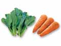 さっと茹でて和えるだけで一皿に　小松菜＆人参のセット