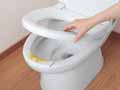 予約 おしっこ吸う〜パット(便器のすき間シート) 30コ入_3