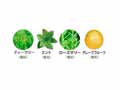 ピカルンルンたまごアパタイト洗口液_3