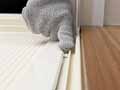予約　びっくりバス用ピカピカ汚れ落とし手袋_5