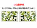 予約　洗えるコーナー吸着玄関マット　リーフグリーン　45×75_3