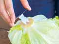 芯から冷やす！野菜長持ちスタンド　2枚入り_3