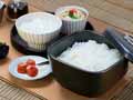 予約 <萬古焼>角型おひつ花びら 2合_3