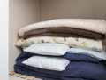 予約 炭八 室内用調湿木炭_4