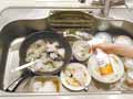 フィトンα泡スプレー　食器用油汚れ落とし　ボトル_2
