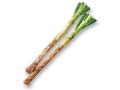 登録　◆生でもやわらか◆長ねぎ　300G