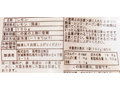 予約6／9週　大地のもったいナイ国産冷凍カットレモン_5