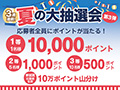 【ご応募】夏のポイント大抽選会(1口限定)