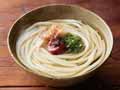 【お得】北海道産小麦の冷凍うどん(食塩ゼロ)×2_3