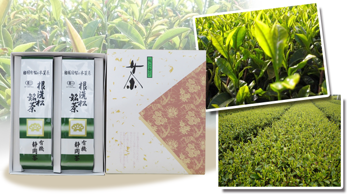 有機煎茶セット 日本農産株式会社